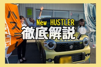 ハスラー徹底解説！！！